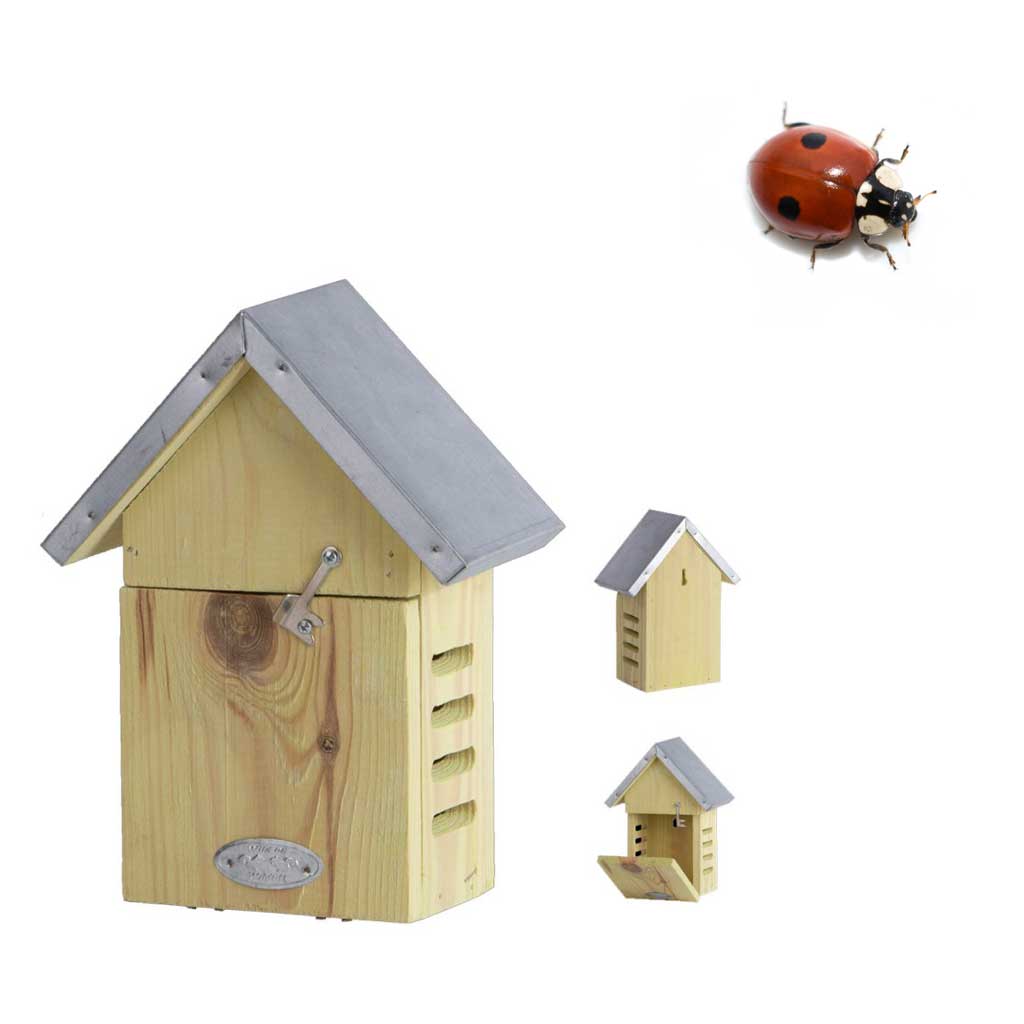 Casa-Refugio de Madera para Criar Mariquitas Adalia Bipunctata