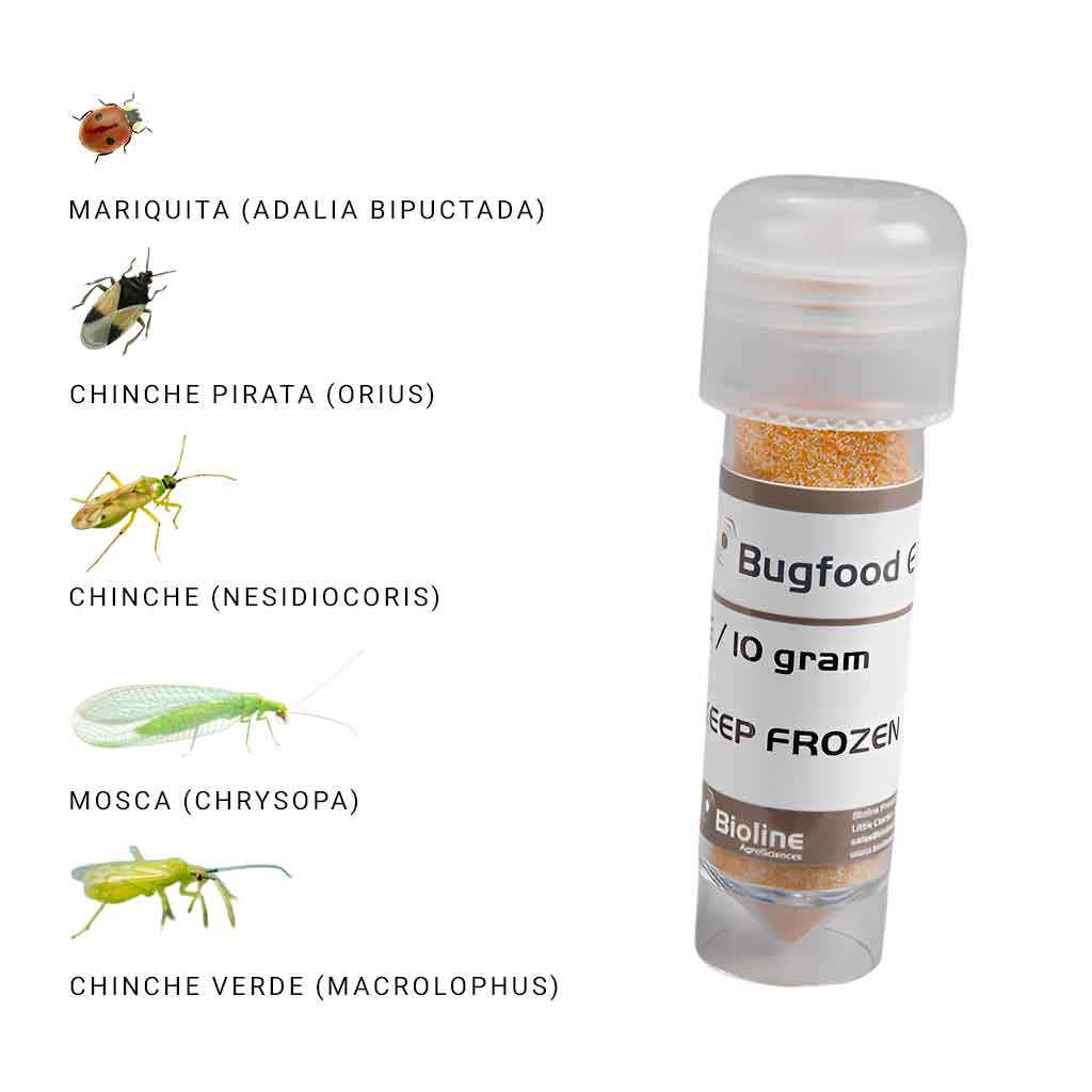 Alimento para Mariquitas y Insectos Beneficiosos | BUGFOOD
