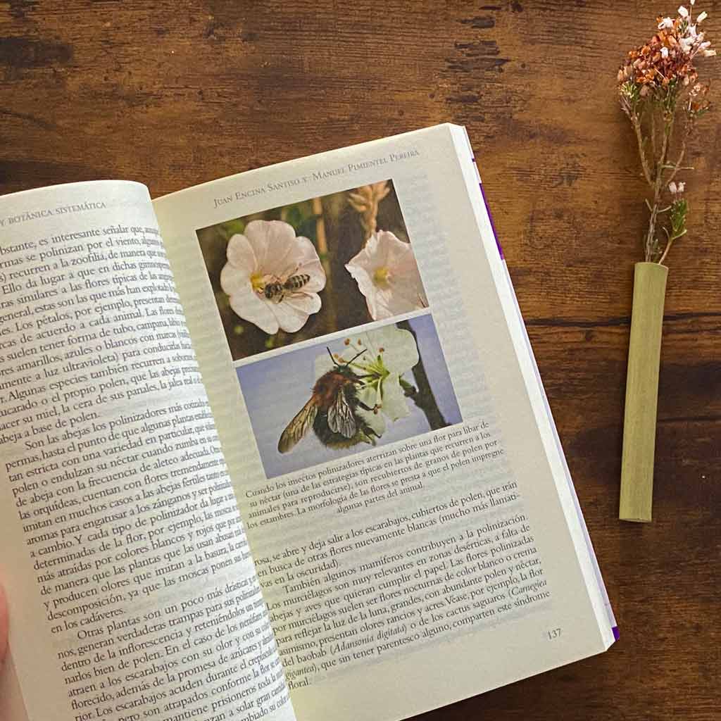 La botánica en 100 preguntas | Libro