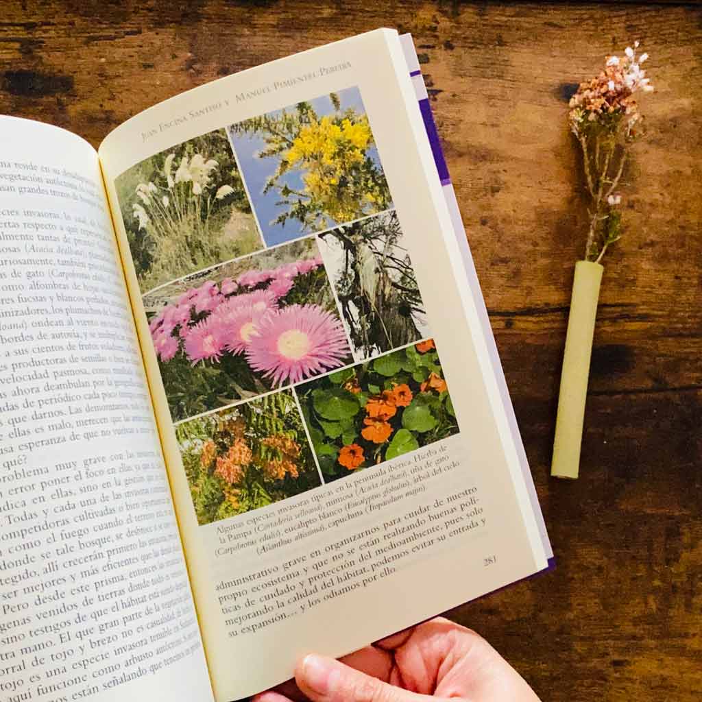 La botánica en 100 preguntas | Libro