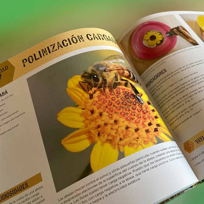Las abejas de Kim Lehman | Libro de actividades y artesanía